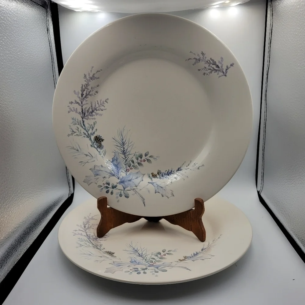 Pfaltzgraff Winter Garden Dinner Plates - set of 2